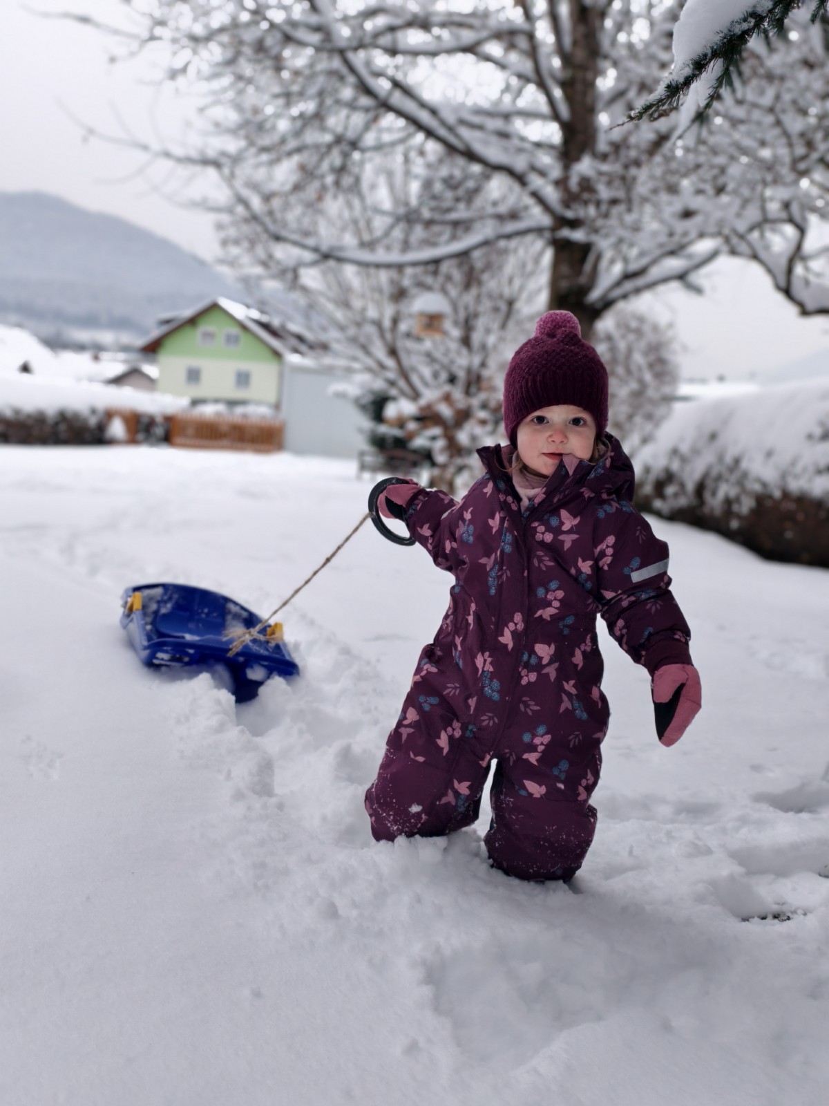 Geschützt: Luise Im Schnee