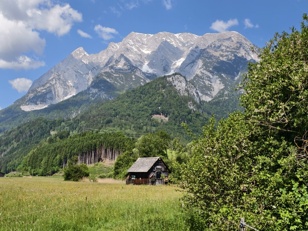 Protected: Iriswiese mit Gitti und Luise
