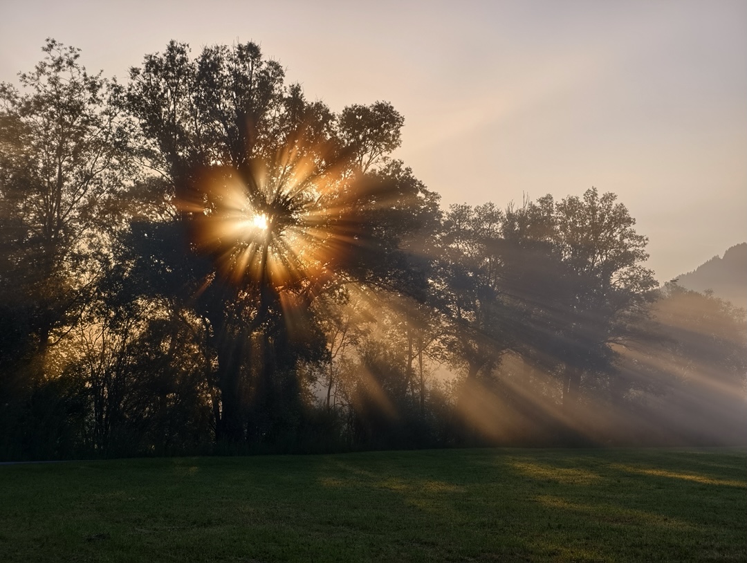 Protected: Morgenstimmung
